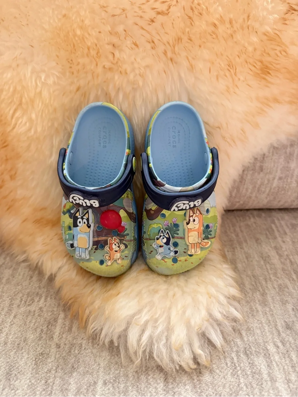 Bluey crocs